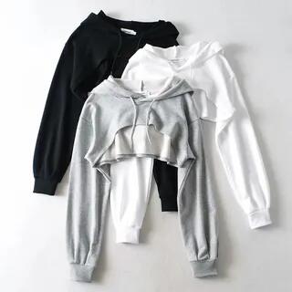 Long-Sleeve Plain Cropped Hoodie Gray by Asiris