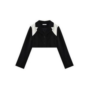 Two Tone Crop Single-Breasted Blazer / Tube Top / High Rise Wide Leg Pants Blazer - Black 242281067
