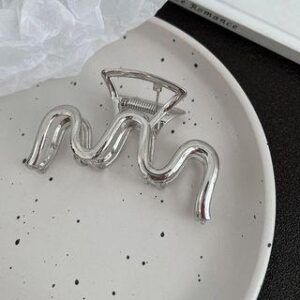 Metallic Hair Claw 27 - Silver | Daeuni 246064575