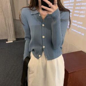 Collar Plain Ribbed Knit Top Blue 249993692