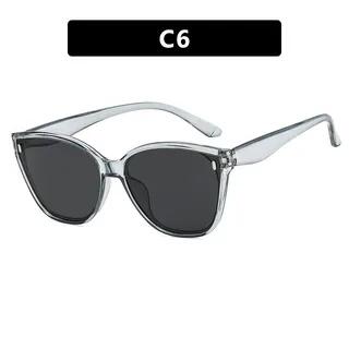 Cat Eye Plastic Sunglasses C6 - Transparent Gray Frame - Gray by iLANURA