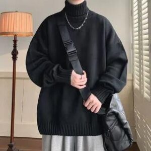 Turtleneck Plain Sweater Black 282422518