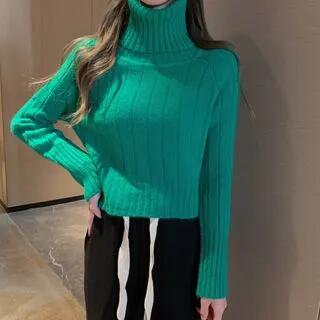 Long-Sleeve Turtleneck Plain Ribbed Sweater Green by Shinsei