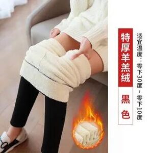 Plain Fleece-Lined Leggings With Thicken Lining - Black 282422834