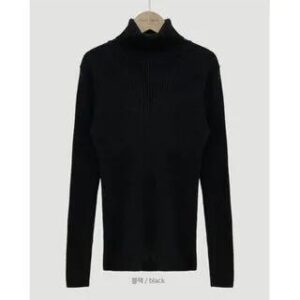 Turtleneck Plain Sweater Black 282422930