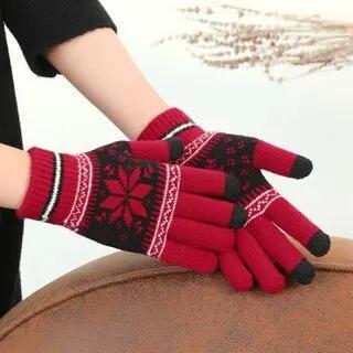 Touchscreen Knit Gloves DZ58 - Red by Rita Zita