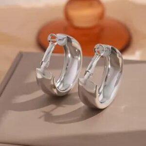 Polished Alloy Leverback Hoop Earring 1 Pair - Silver | True Glam 282734877