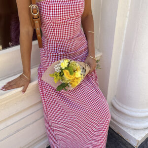 Angela Red Gingham Maxi Dress