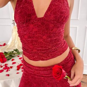 Clancy Red Velvet Crop Top