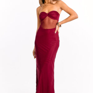 Ryker Wine Strapless Mesh Maxi Dress
