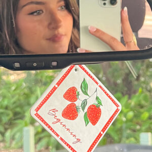 Strawberry Dream Air Freshener Two Pack